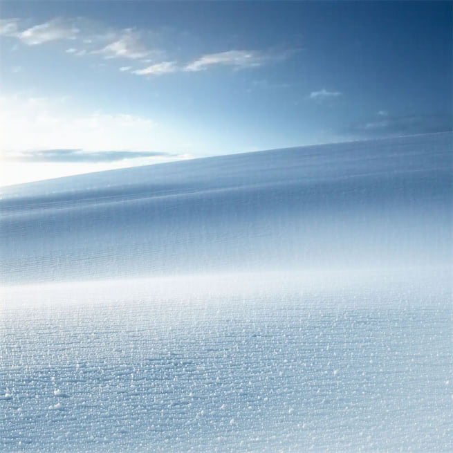 有梅无雪不精神，有雪无诗俗了人。 Poster