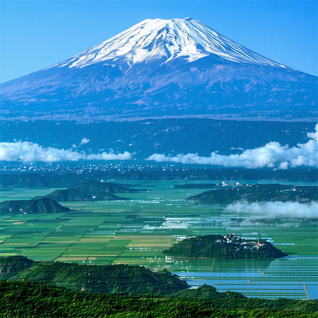 今日云景好，水绿秋山明。