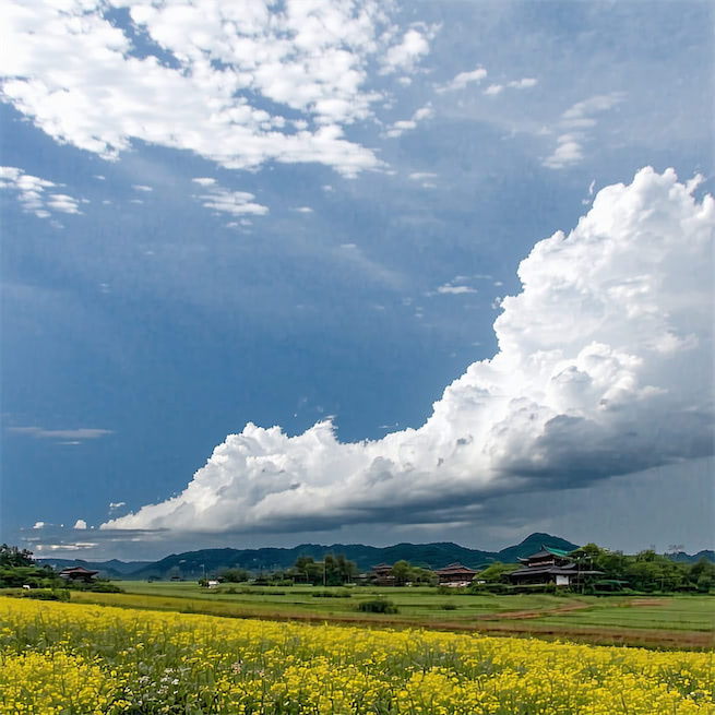 汉将归来虏塞空，旌旗初下玉关东。 Poster