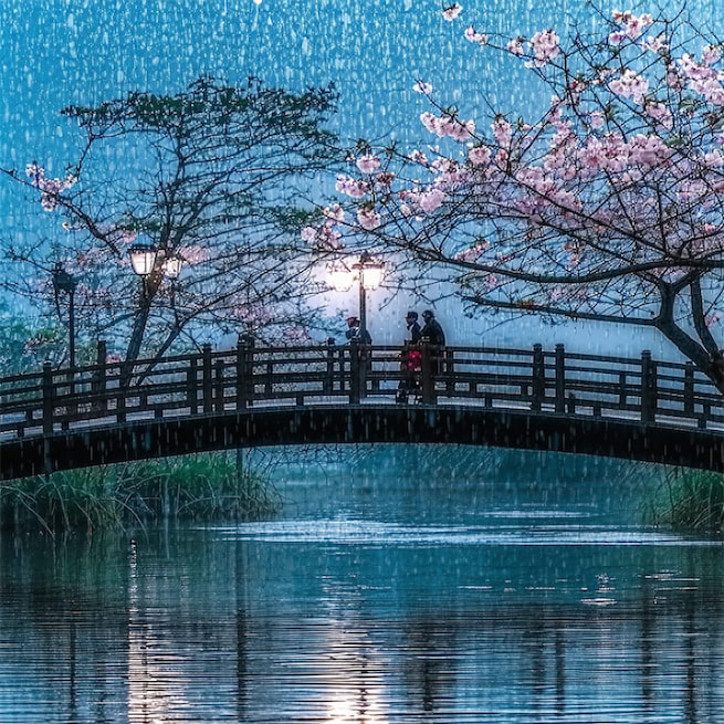 春雨断桥人不度，小舟撑出柳阴来。