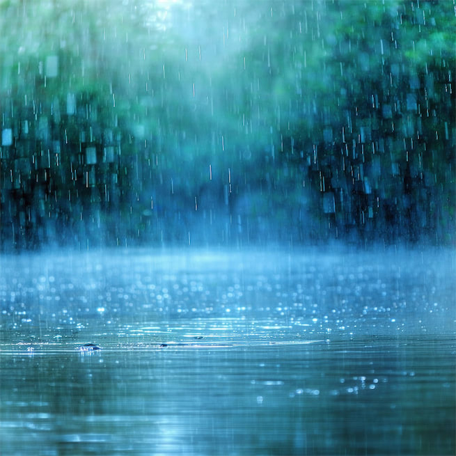 一帘鸠外雨，几处闲田，隔水动春锄。