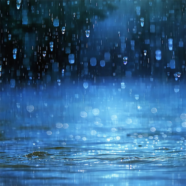 一帘鸠外雨，几处闲田，隔水动春锄。